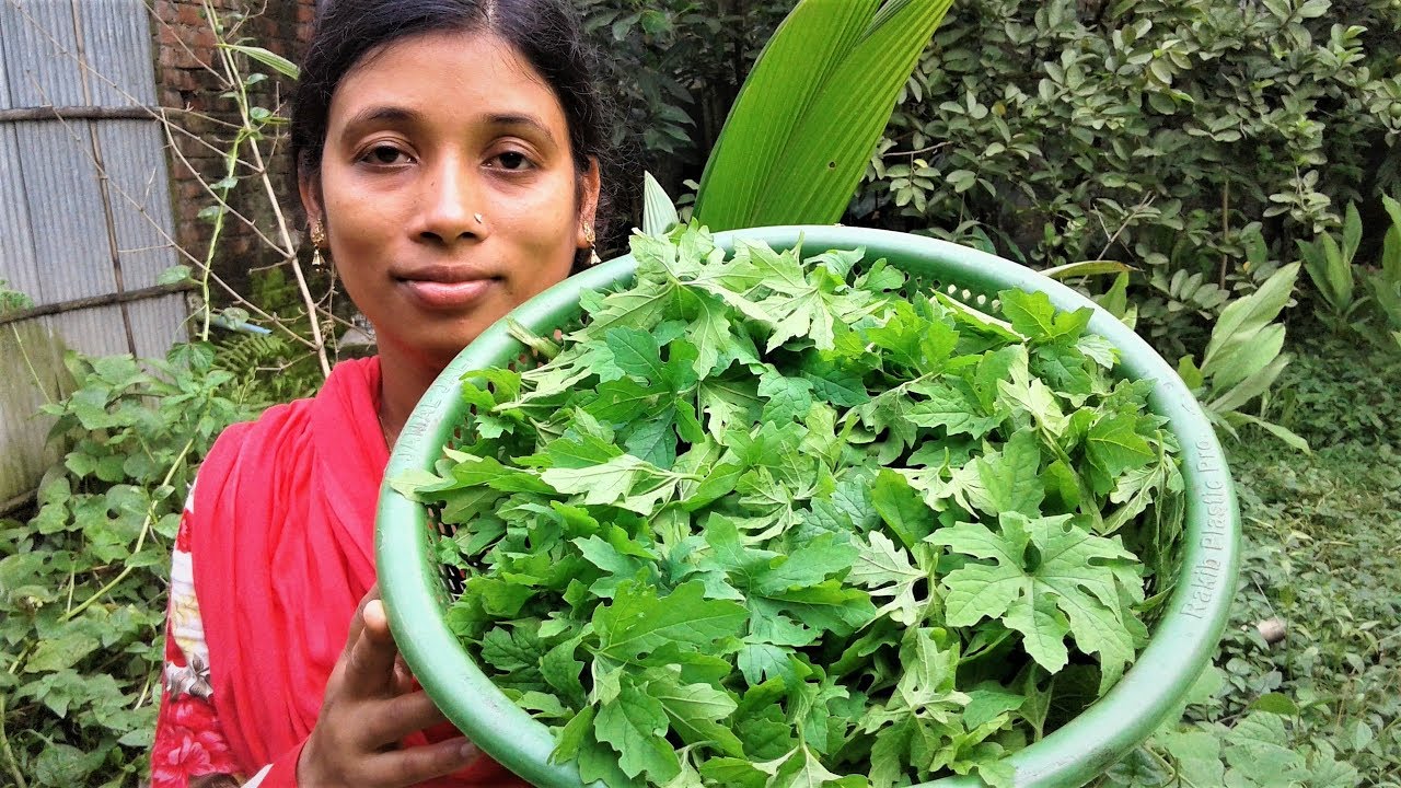 Cooking Bitter Melon Leaves with Small Fish Recipe | Tasty Karela Leaf Vaji By Street Village Food