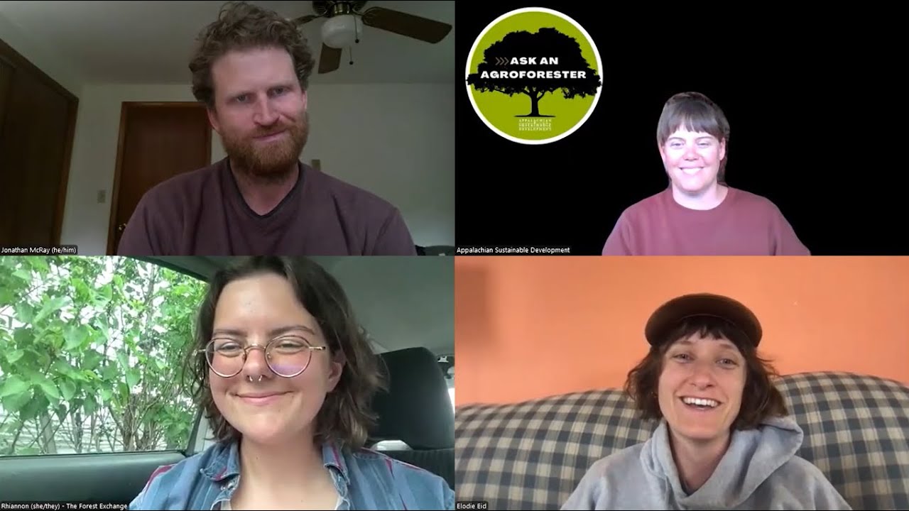 Ask an Agroforester Spring '25 - Insights from Farming with Trees' Nurseries Listening Sessions