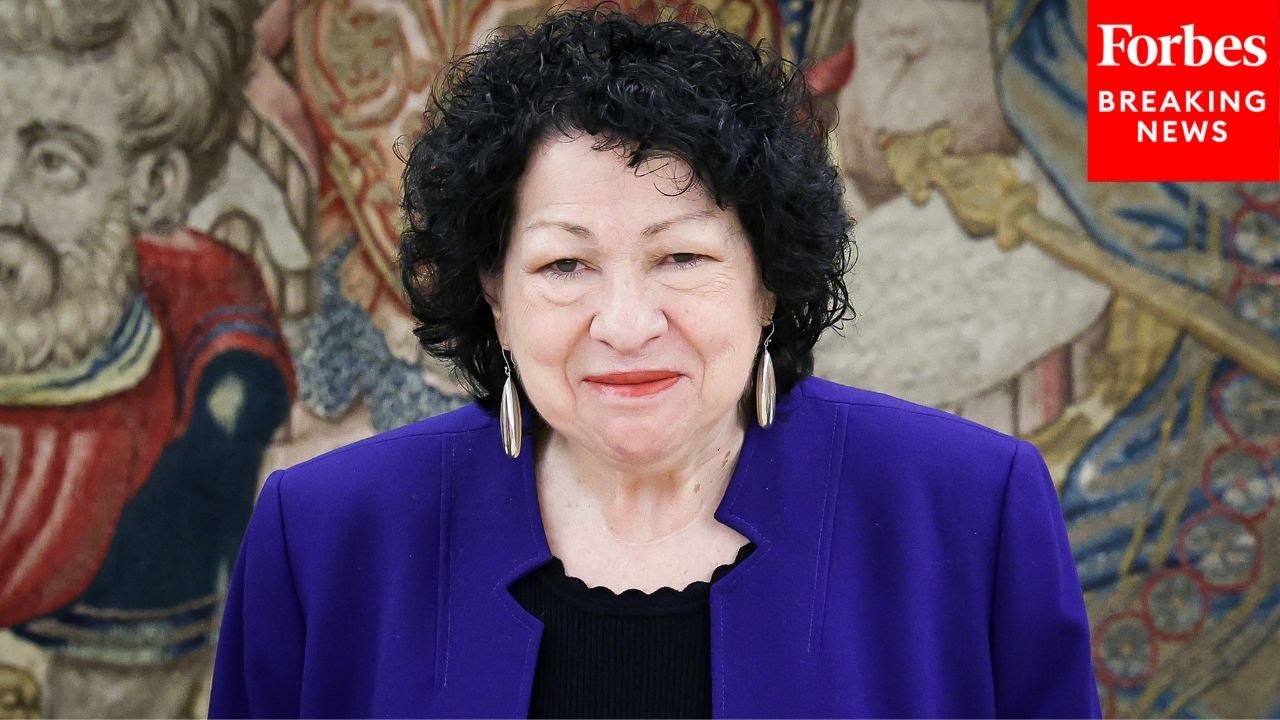 'That's What You're Saying?': Sonia Sotomayor Tears Into Attorney's Highly Specific Argument