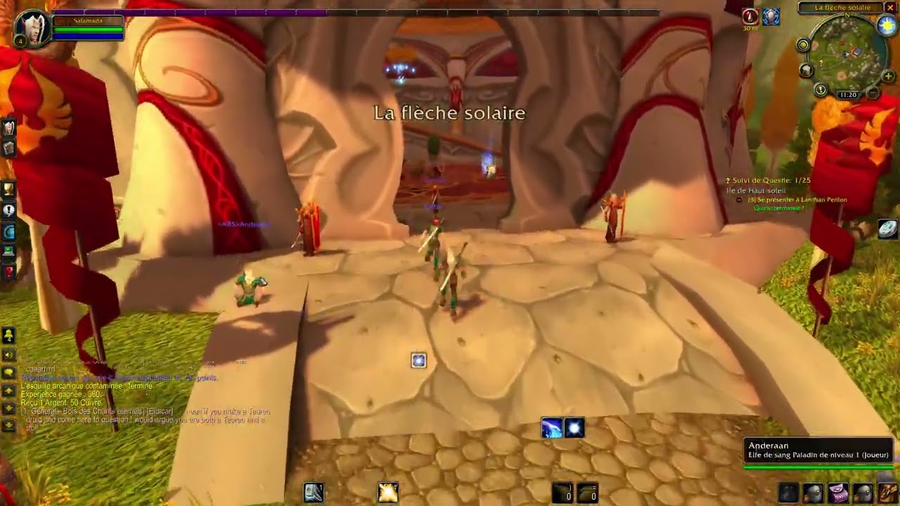 WOW Tbc anniversary Paladin Elfe de sang pexing part 2