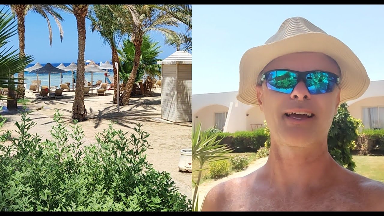 Brayka Royal, Marsa Alam, Plážový speciál 🐬, Egypt, 2024, český komentář