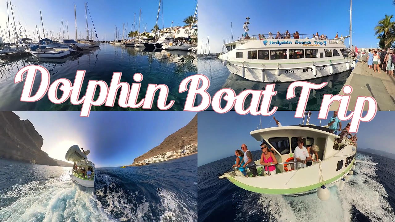 Dolphin Glass Bottom Boat Trip Puerto de Mogan Gran Canaria with an Insta360X3