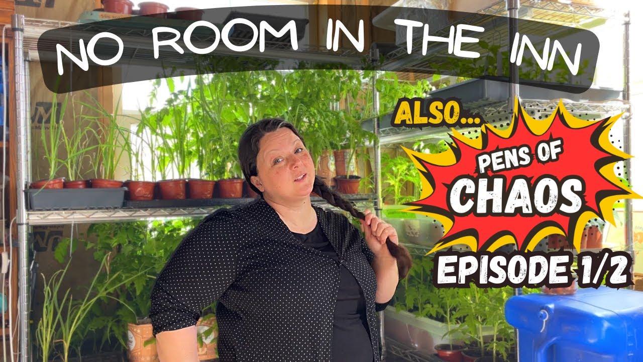Finding room for seedlings in our small Alaskan cabin - PENS of CHAOS ep. 1/2 - Homesteading Alaska