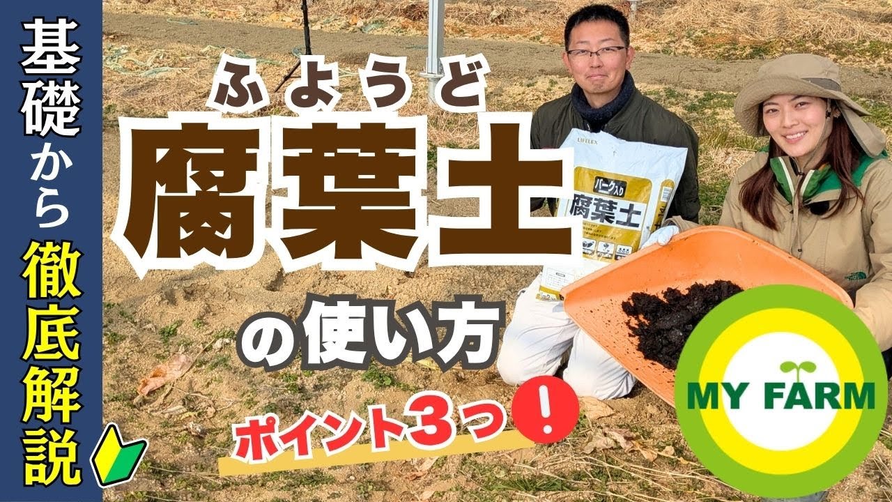 腐葉土の使い方を基礎から学ぶ！家庭菜園で使うポイントと注意点│モリミサと学ぶ有機栽培