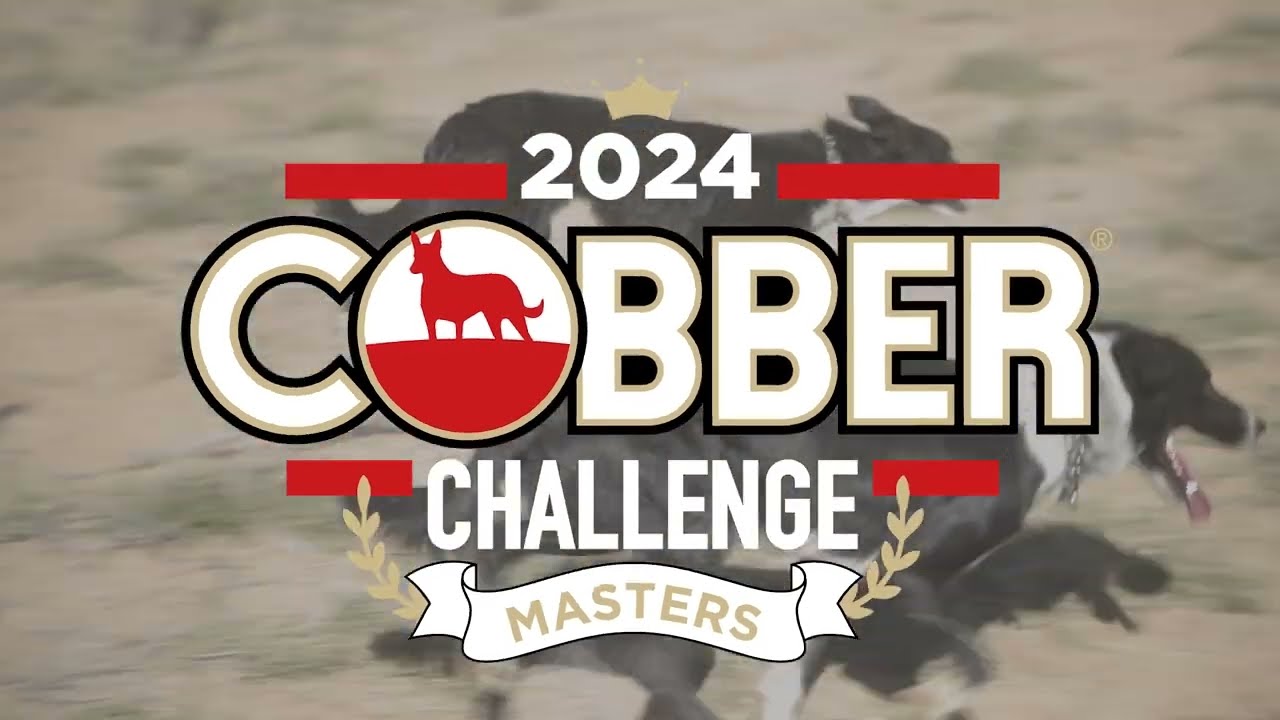 2024 Cobber Challenge Masters
