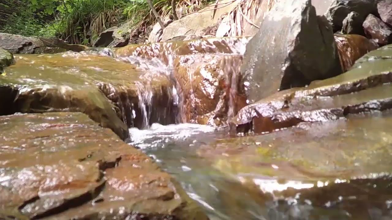 Звуки воды и леса. Расслабляющие звуки природы для снятия стресса. ASMR