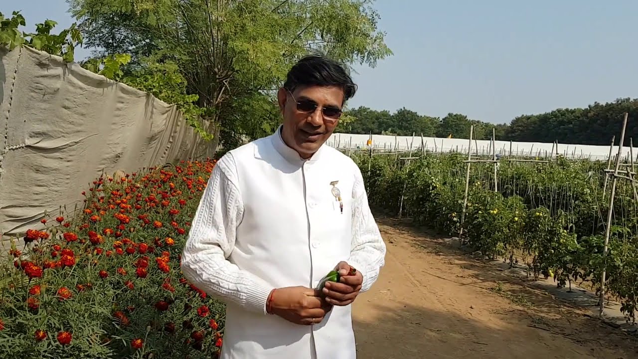 प्राकृतिक रूप से आध्यात्मिक ऊर्जा का केंद्र है तपोवन
