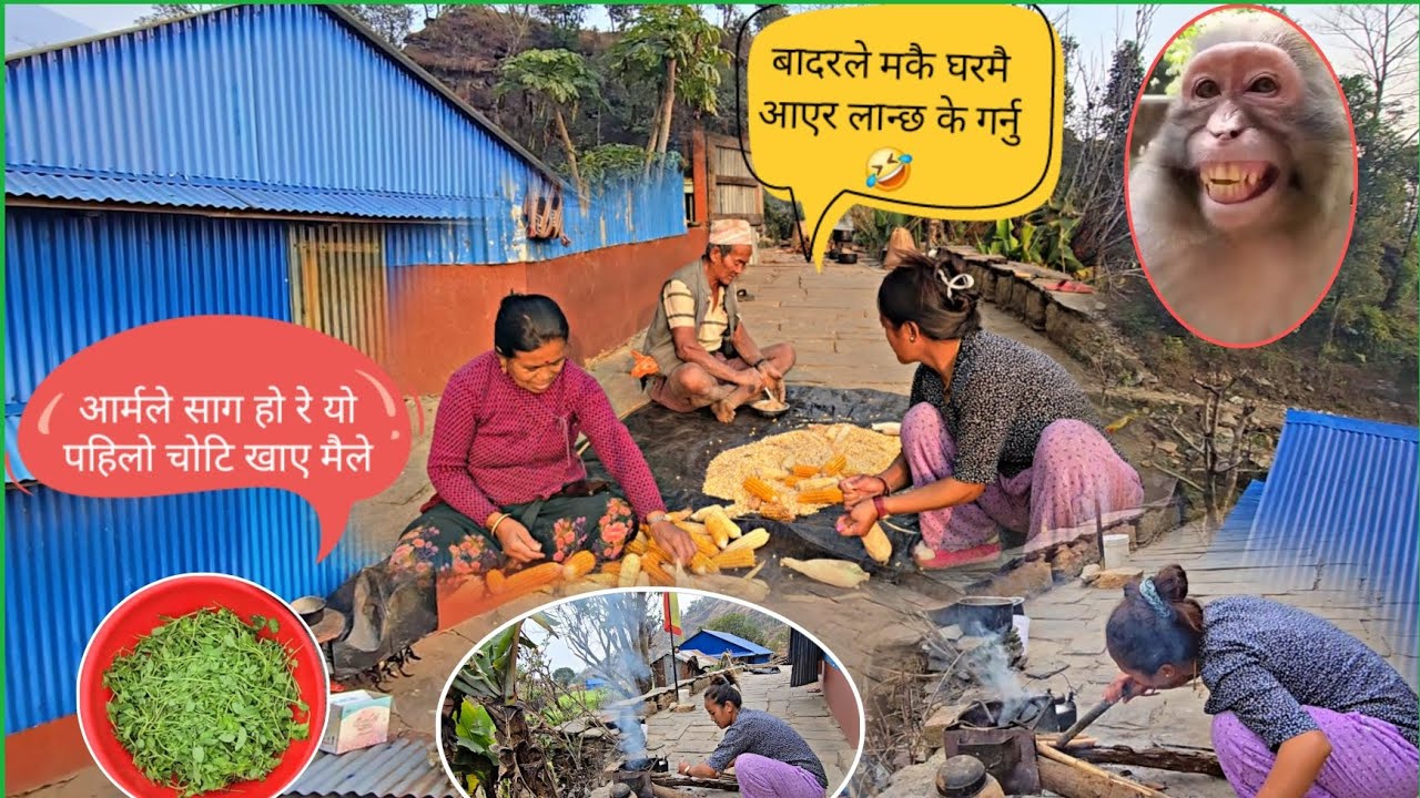 सासू ससुरा सङ यसरी मिलेर काम गर्न पाउदा खुशी लाग्छ!गाउले जिबन सादा जिबन😍🙏