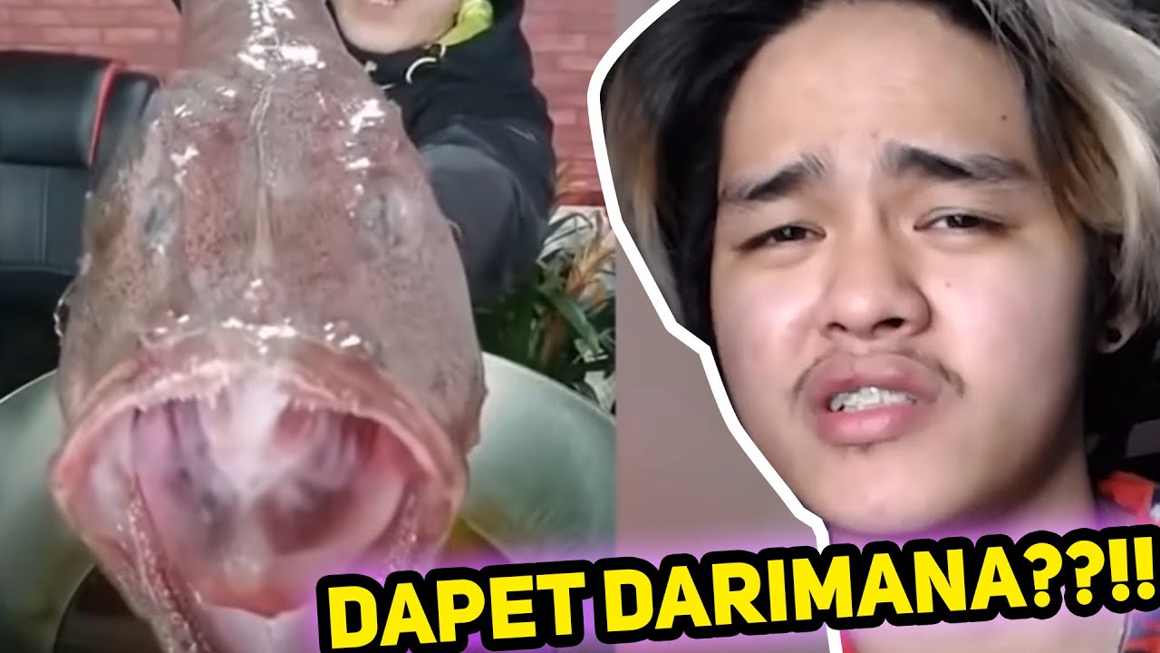 MUKBANG MAKAN ALIEN??!!