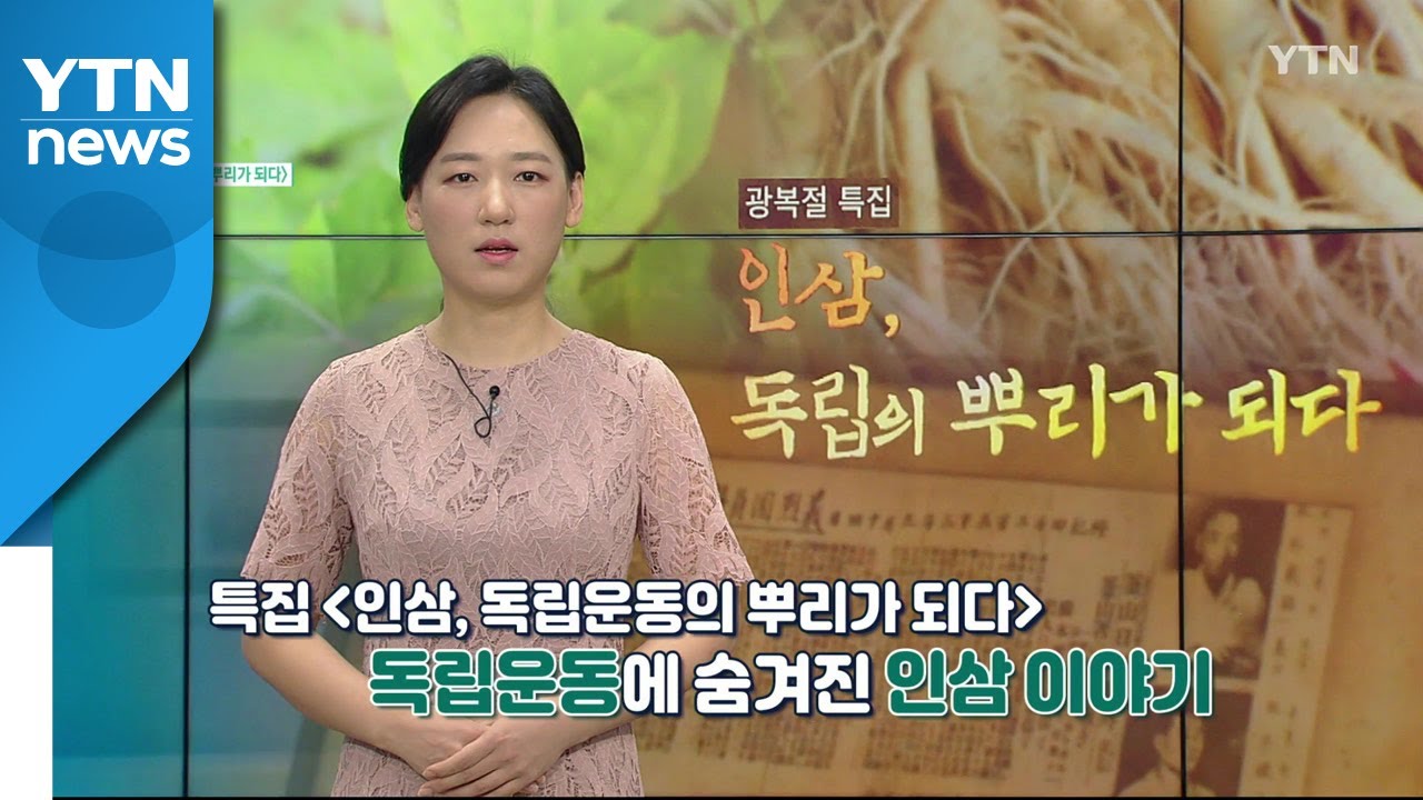[9월 6일 시민데스크] 내가 본 DMB - 특집ᐸ인삼, 독립운동의 뿌리가 되다ᐳ / YTN