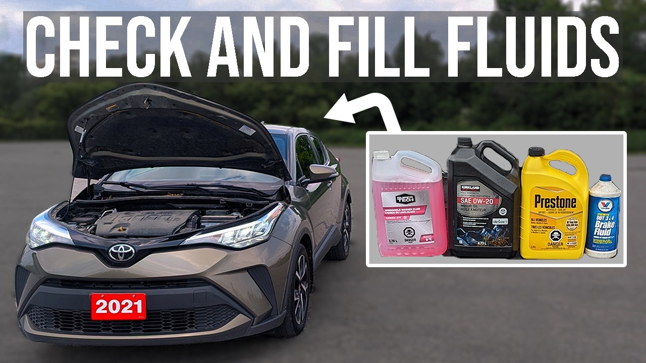How to Check and Fill Fluids [COMPLETE GUIDE] - Toyota C-HR (2018-2022)