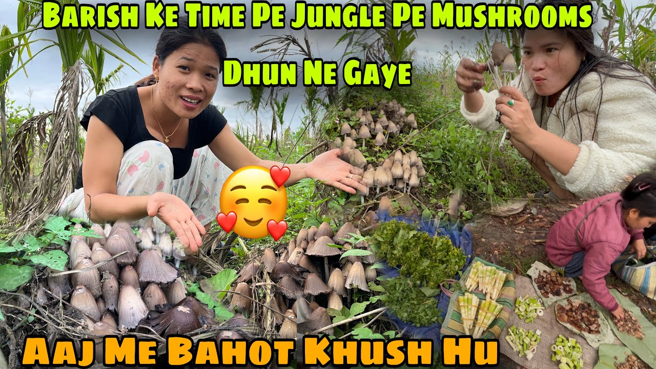 SURPRISED🥰Aaj Me Bahot Khush Hu|| Jungle Par Mushrooms🍄Dhun Ne Gaye| Friday Bazar Gaye