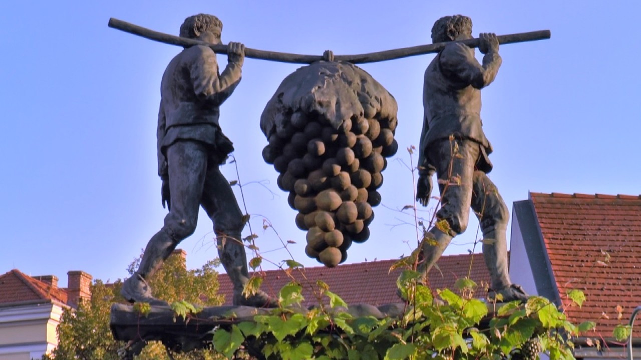 Wein & Kultur im Weinviertel – Die schönste Genussreise