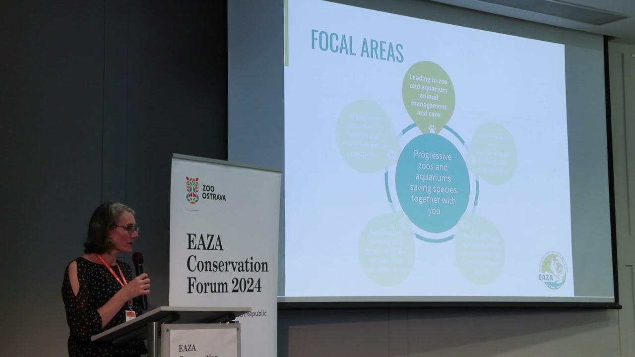 ECF24 5 June / Opening session 1/5