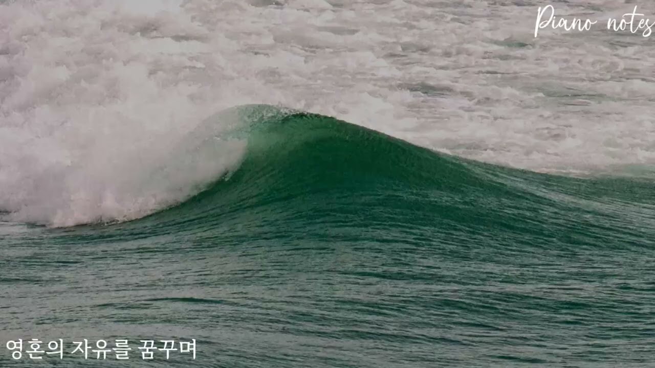 사연신청곡 I 영혼의 자유를 꿈꾸며 Dreaming of the Freedom of the Soul