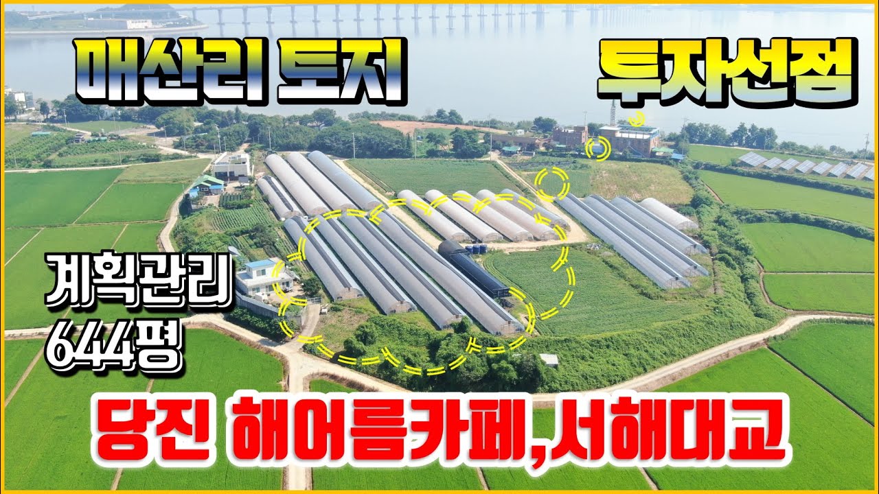 (토250730)당진토지매매,신평면 매산리 해어름카페 인근 토지, 투자선점