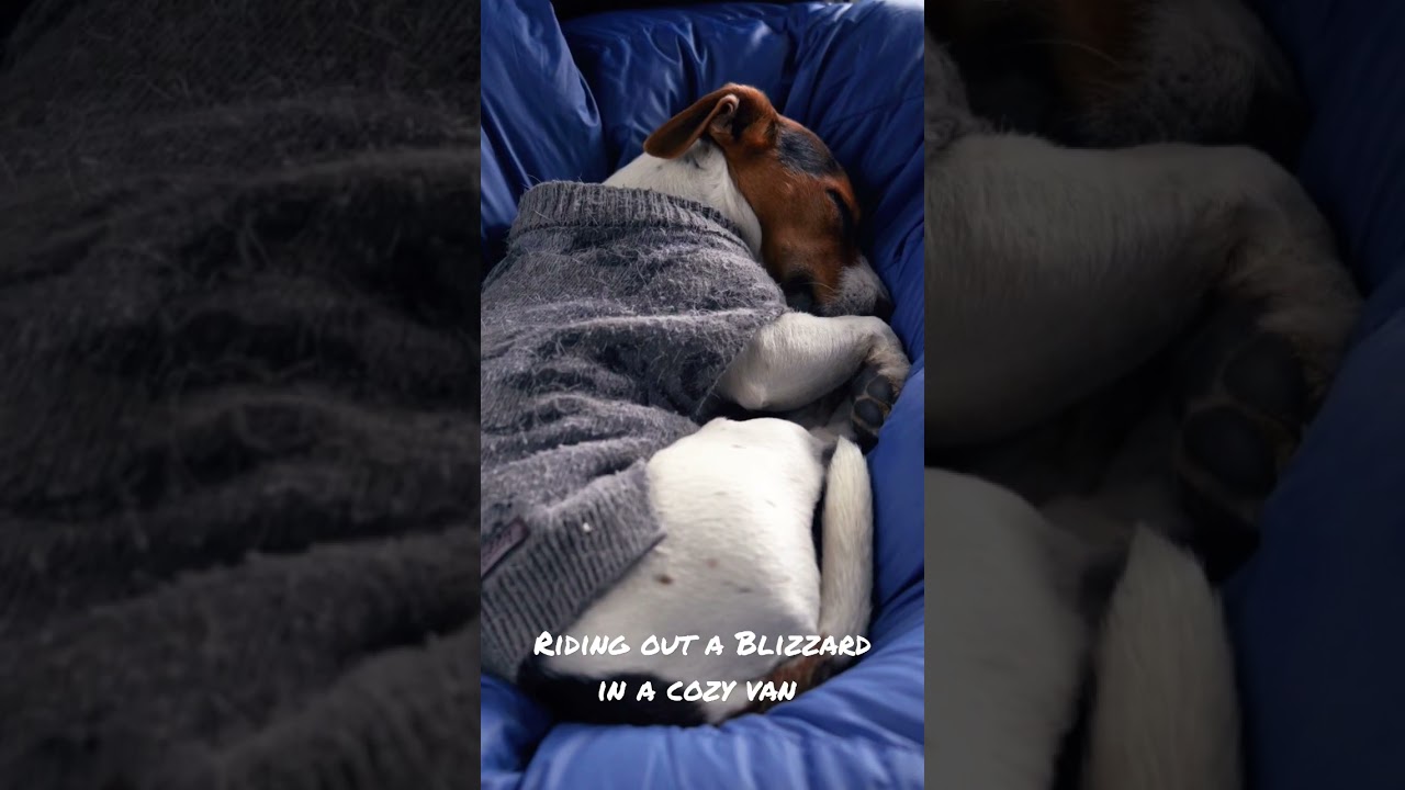 Riding out a Blizzard in a Cozy Van