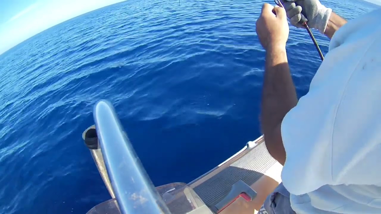 Βλάχος 24kg με Slow Pitch Jigging  στα 170 μέτρα βάθος