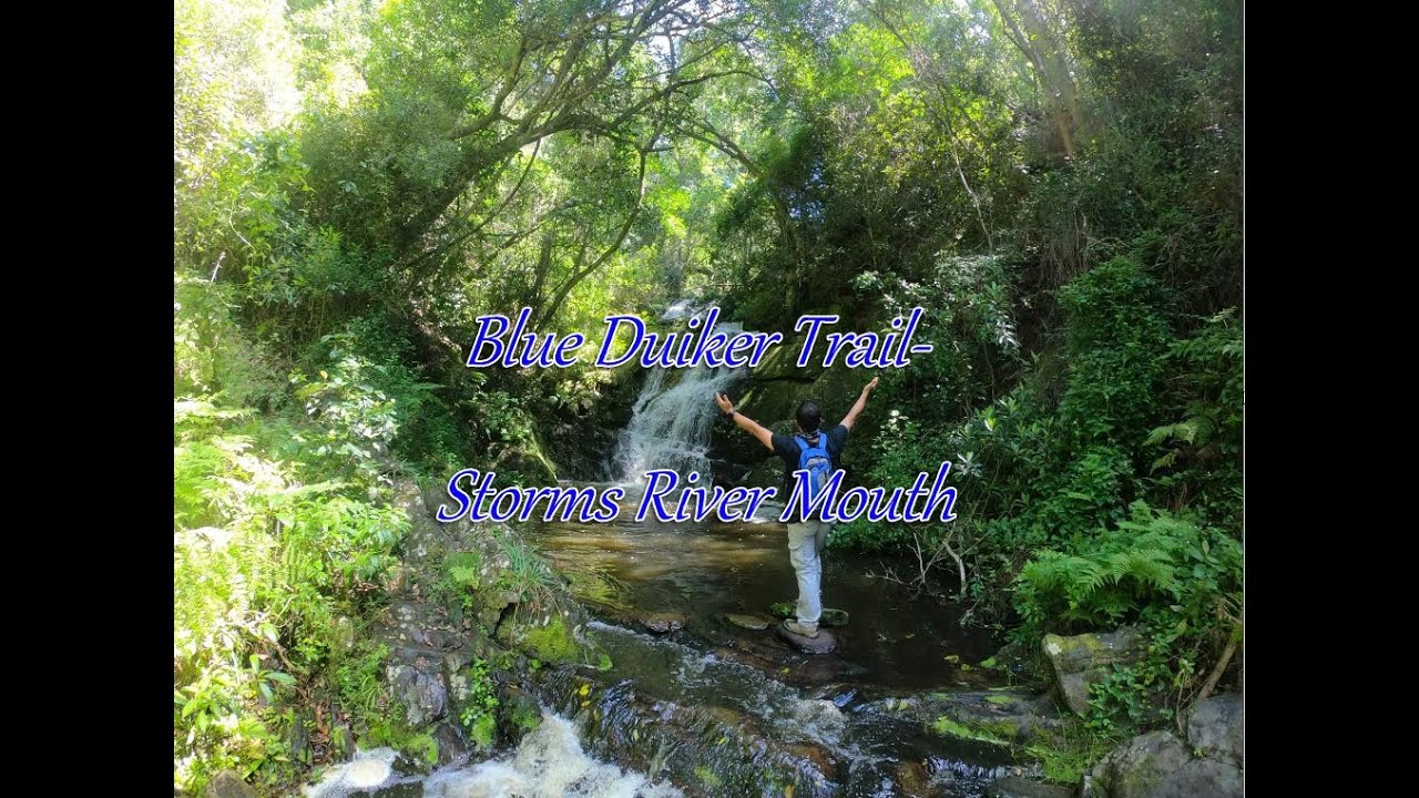 Blue Duiker Trail👣-Storms River Mouth, Tsitsikamma, Eastern Cape