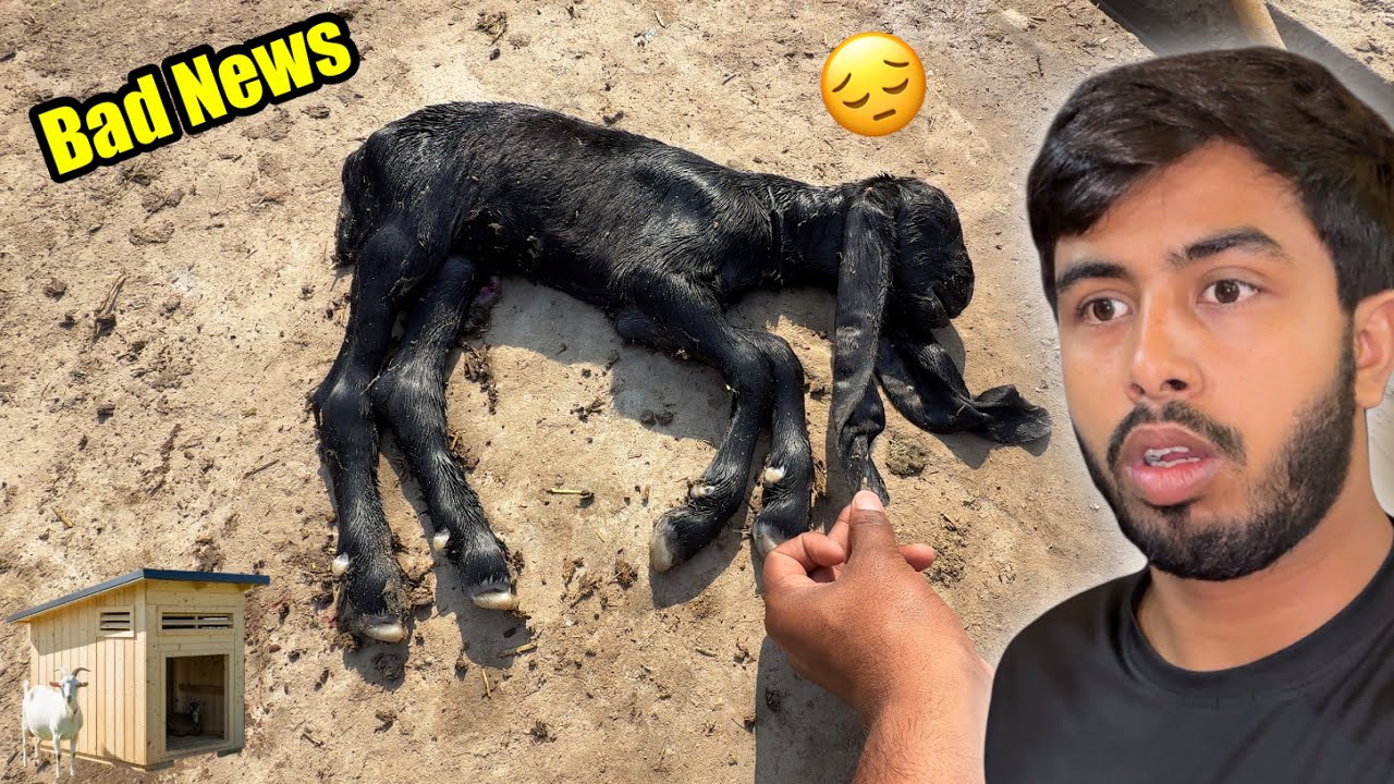 1 Janwar 😔 ALLAH ke Paas Chala Gaya 😔 