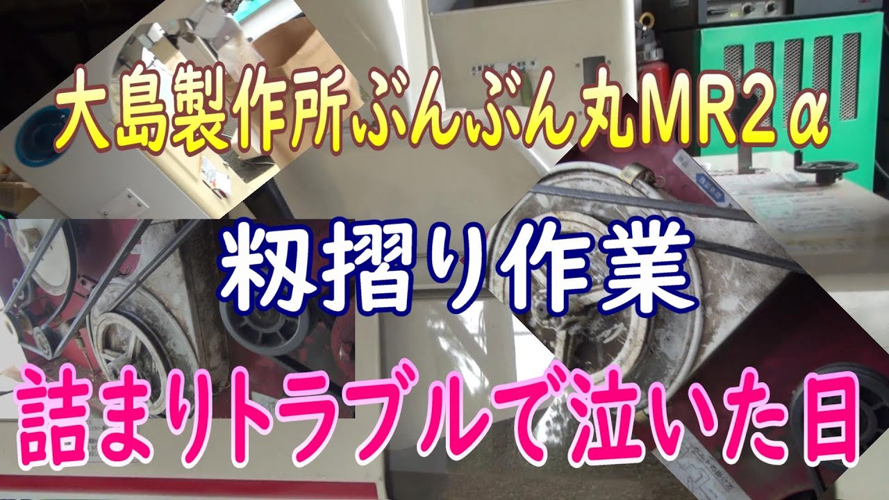 籾摺り作業動画です。タイトル通りブンブン丸になって初詰りでした。前のサタケの籾摺機も良く詰まってたので簡単に考えてました‥しかし機種が変わればです。謎？謎？でした。