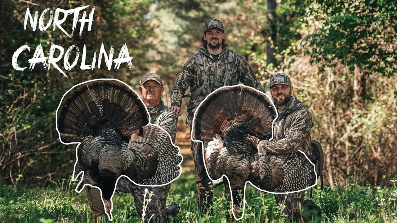 HARD GOBBLING North Carolina River Bottom TURKEYS