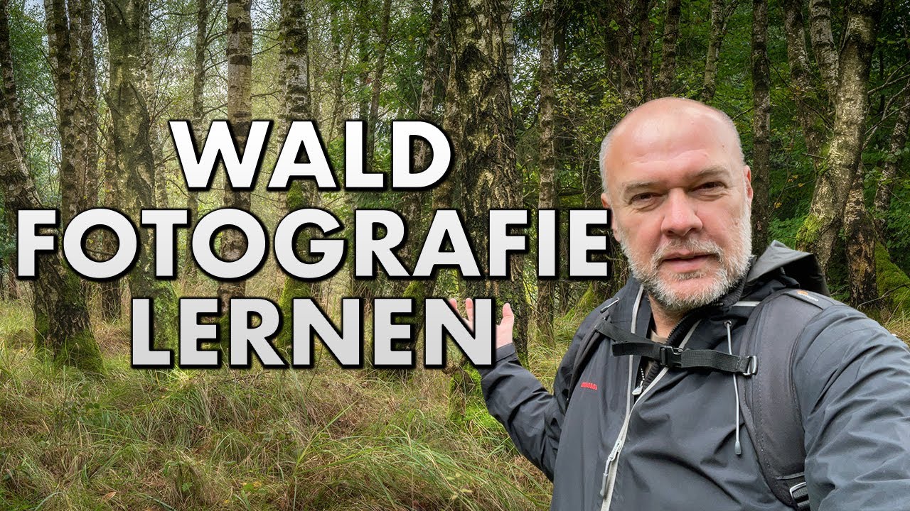 FOTOGRAFIEREN lernen im WALD | TUTORIAL für die WALDFOTOGRAFIE