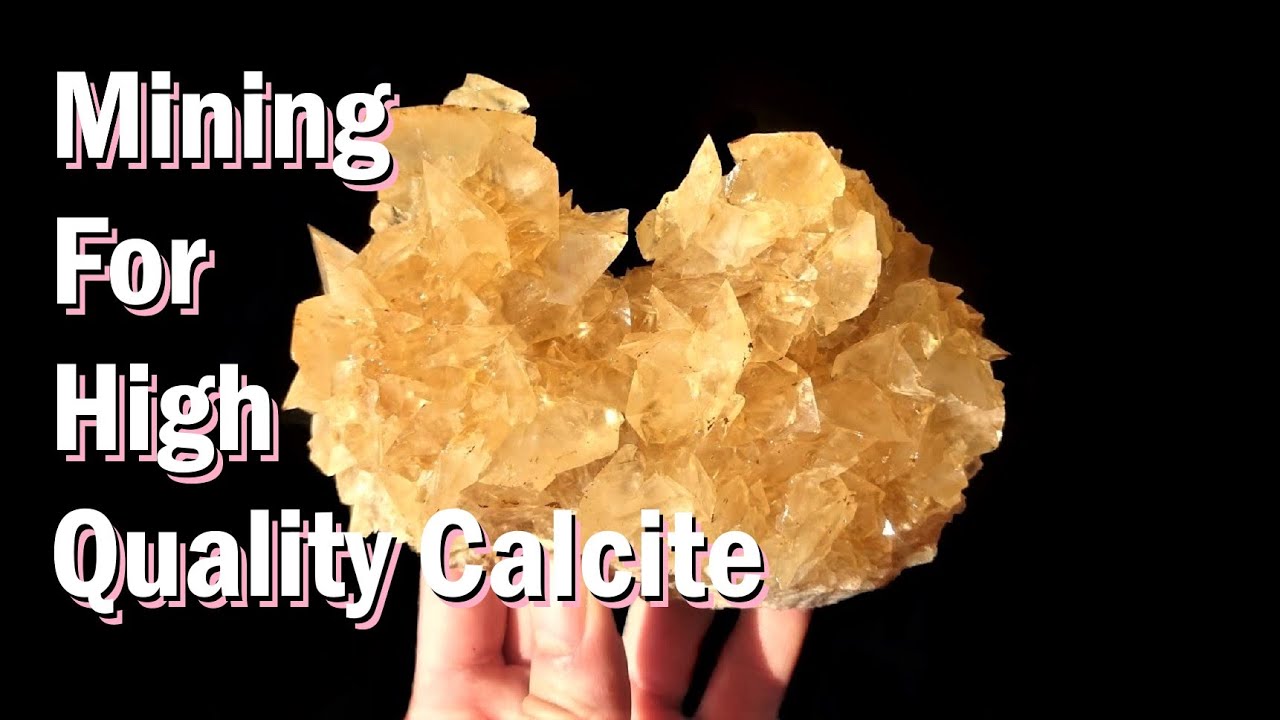 Calciet kristallen zoeken in Calcaire de la Sambre, Landelies, België
