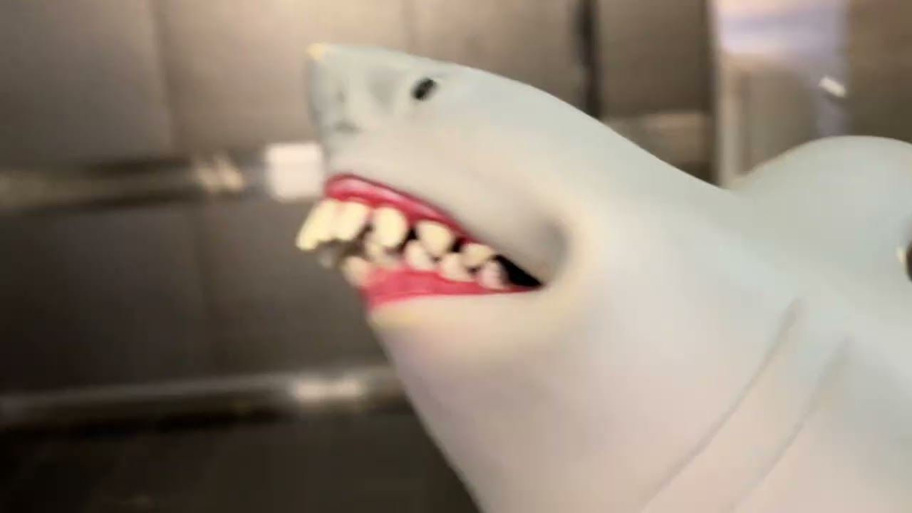 Shark puppet goes on an elevator part 134
