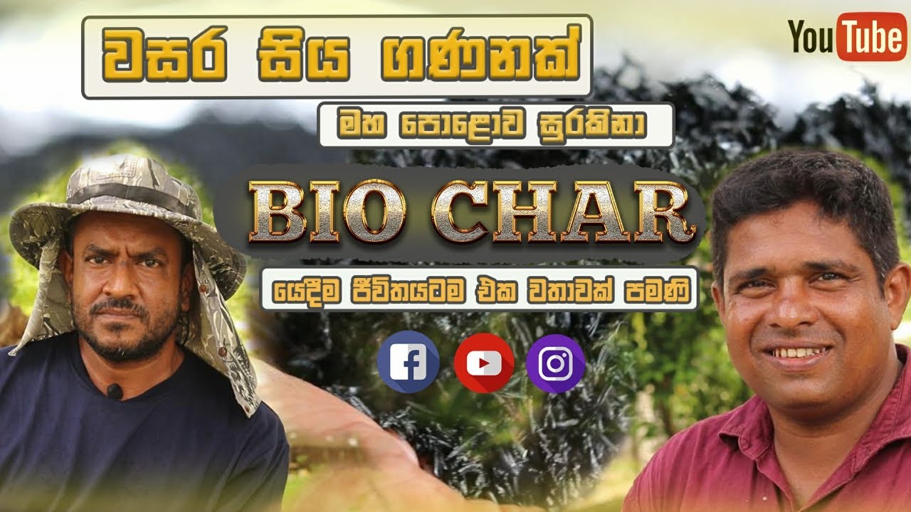 වසර දහස් ගණනකට පෙර ආදිවාසීන් සොයාගත් තාක්ෂණයක් Production of biochar කරදහයියා karadahayiya ජීවඅගුරු