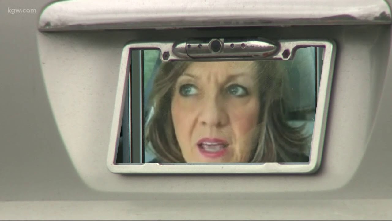 Vehicle-license fraud in Washington