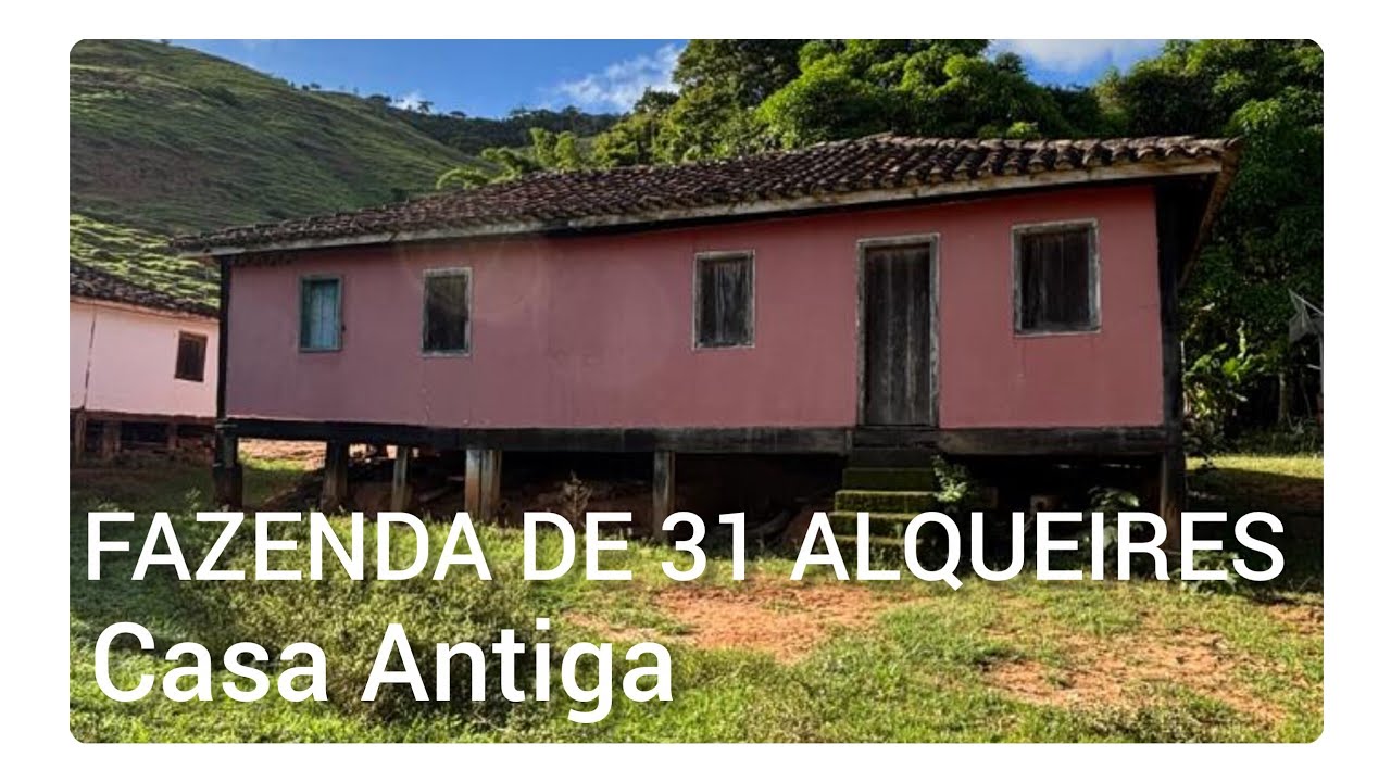 FAZENDA DE 31 ALQUEIRES DE TERRA A VENDA.