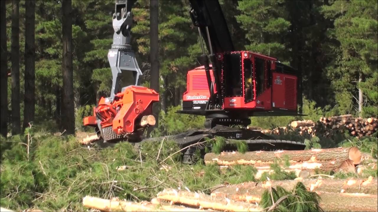 TimberPro TL765-C with Woodsman 750 harvester head