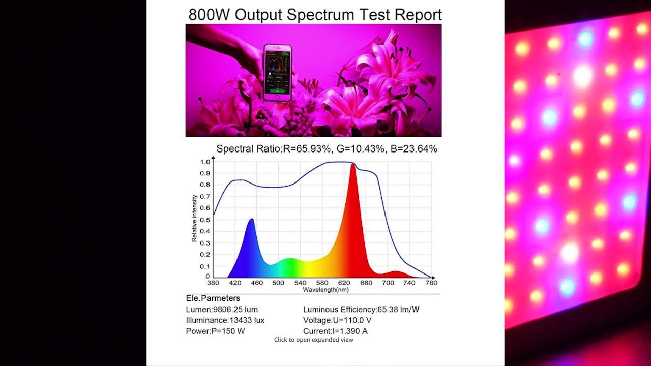 King Plus 800W Grow Light LED review