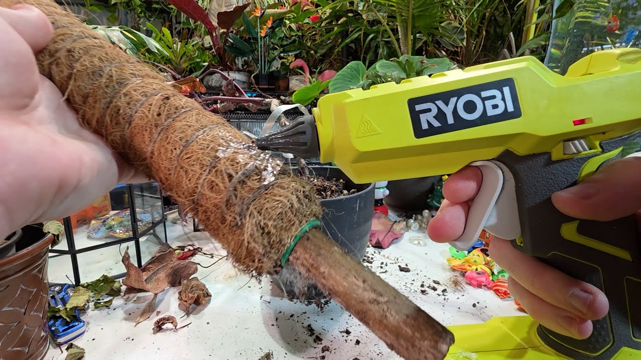 Potting Houseplants and Plant Chores