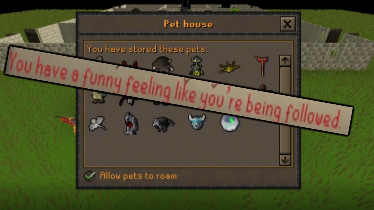 So I Started Hunting for Pets...