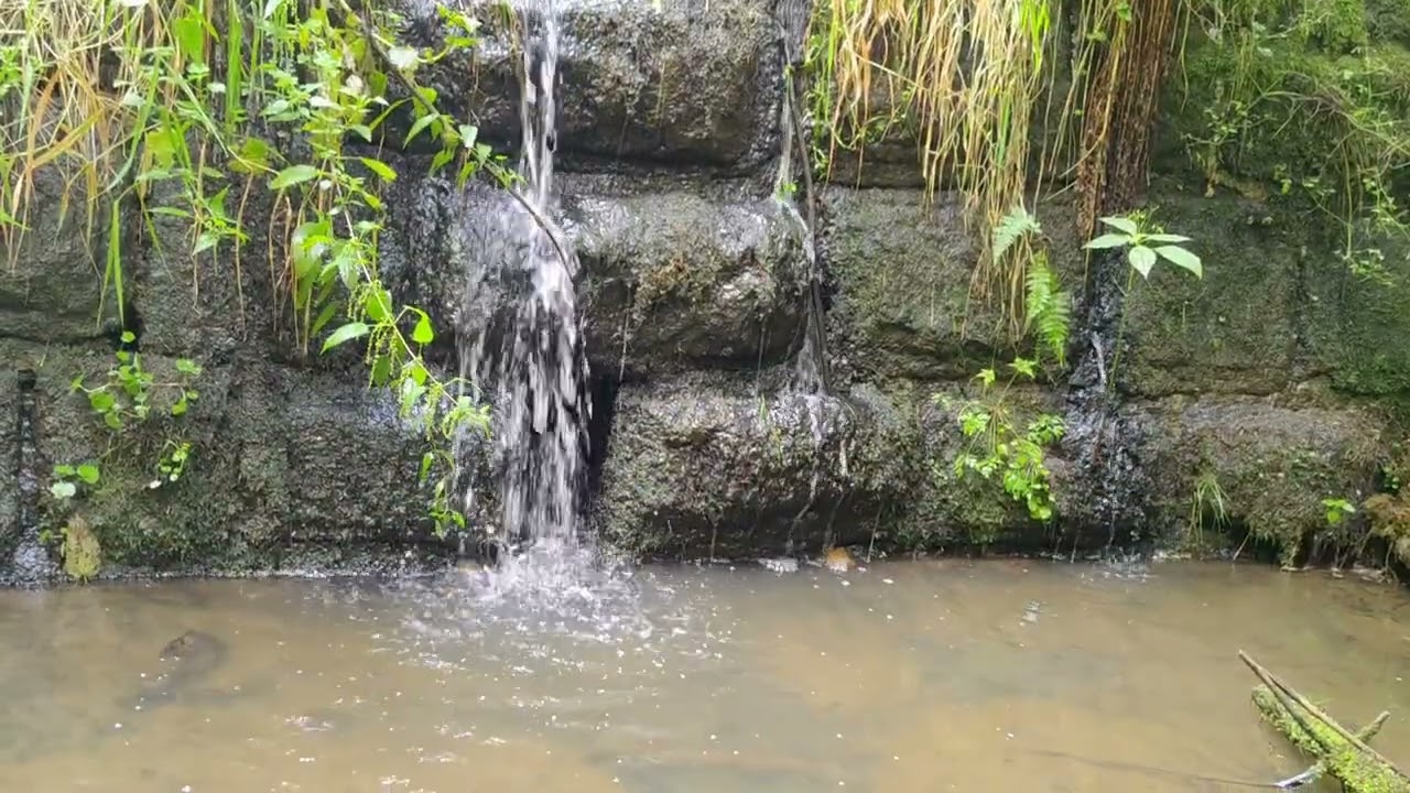 ..🌳🌲🌿 stromy a voda 💧💦..nekonečná zásobárna 