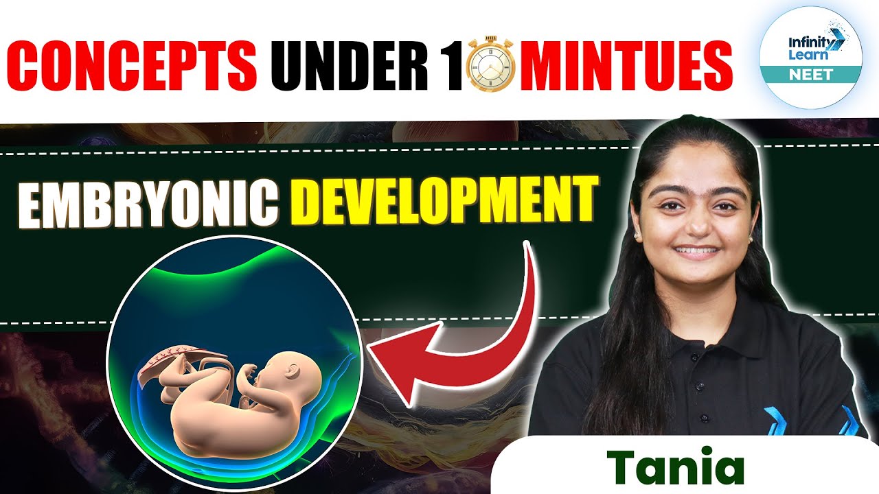 Step-by-Step Guide to Embryonic Development | Concepts Under 10 Minutes | NEET 2025 | NEET Zoology