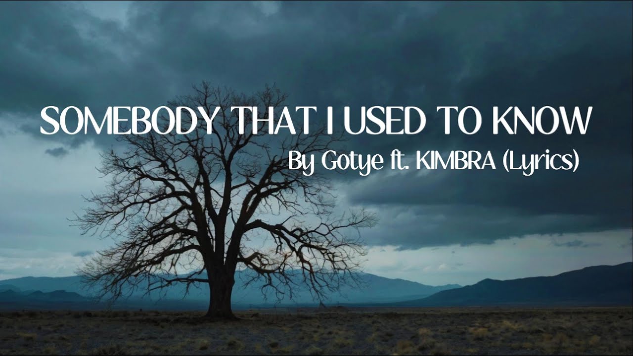 Gotye - Somebody That I Used To Know (feat. Kimbra)