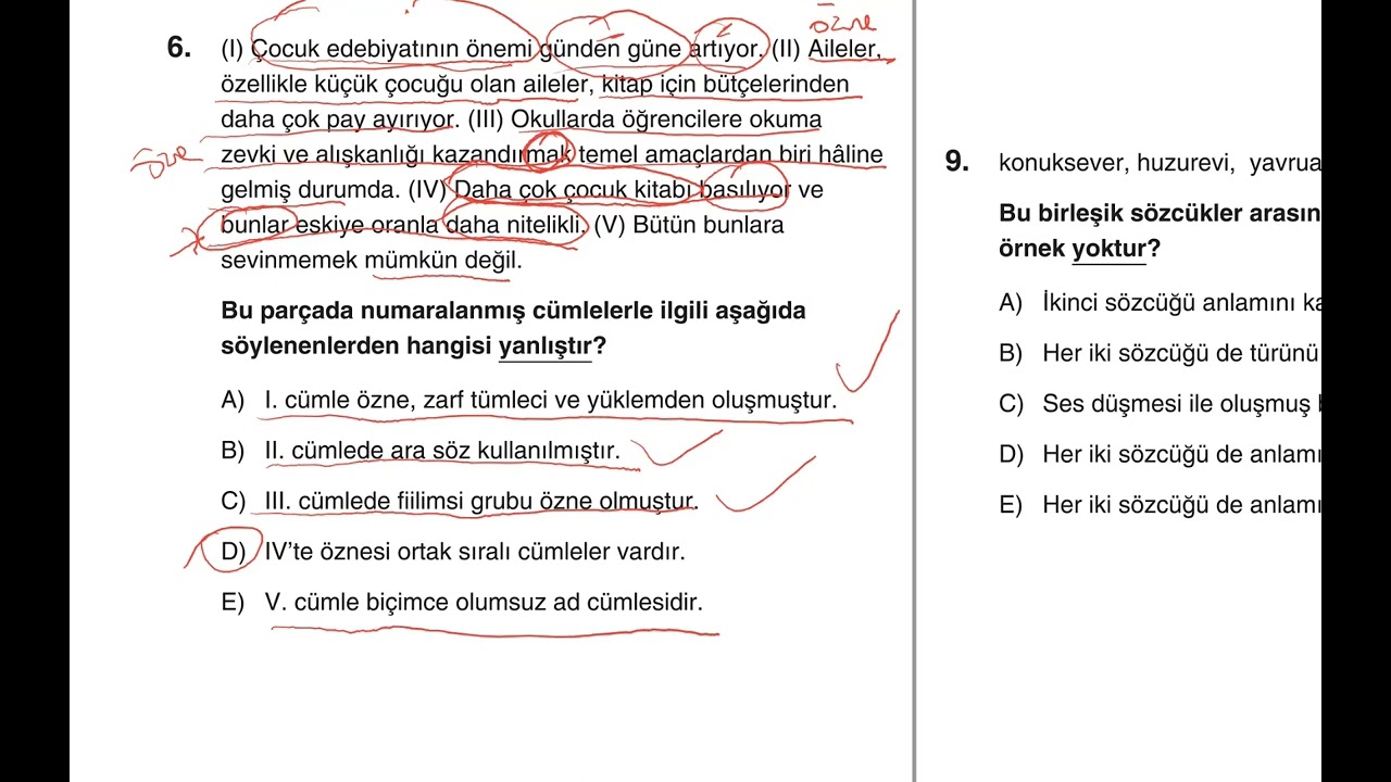 Dil Bilgisi Denemeleri, Deneme 58, Genel
