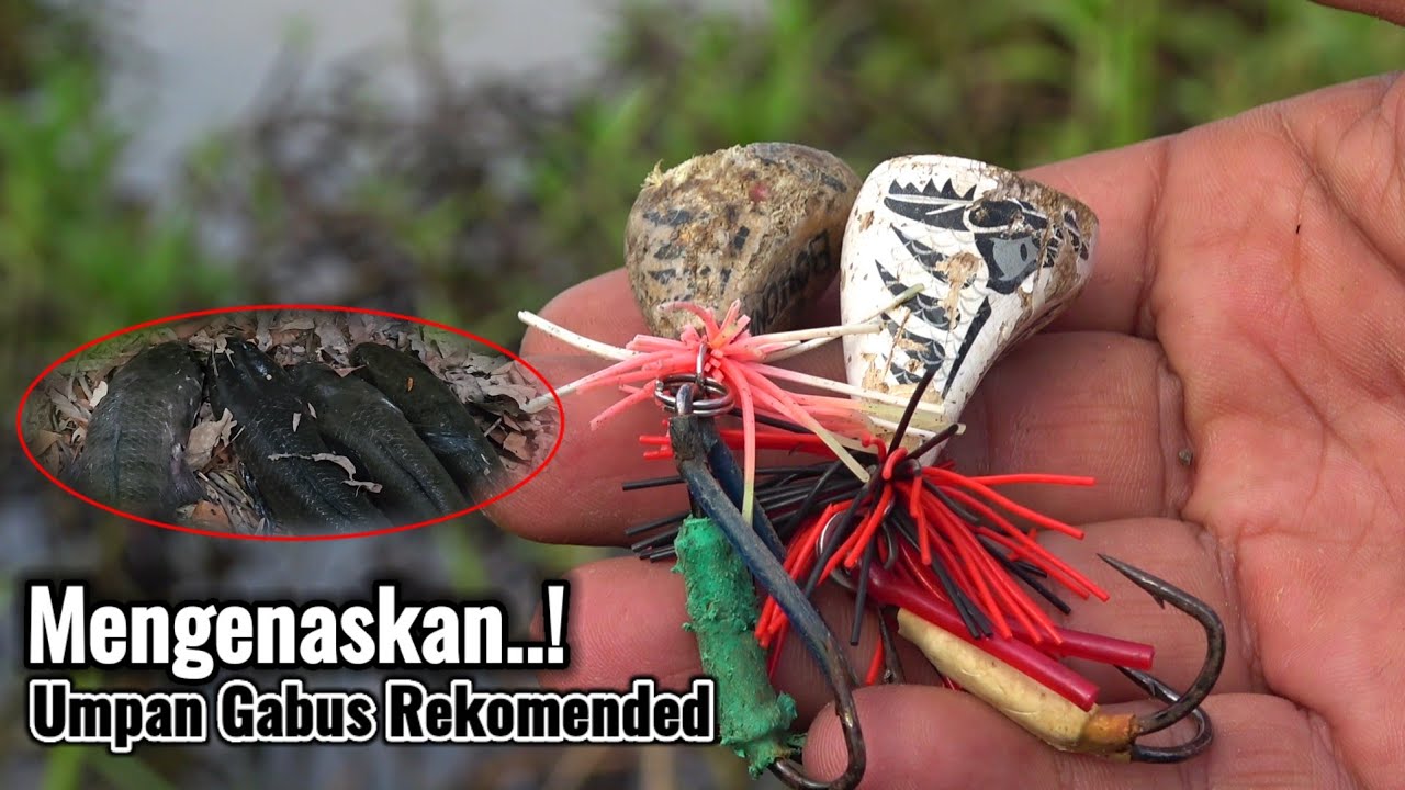 KETIKA UMPAN CASTING MENJADI ANDALAN DI SPOT YANG SANGAT POTENSI || TRIP MANCING 2 HARI 2 MALAM