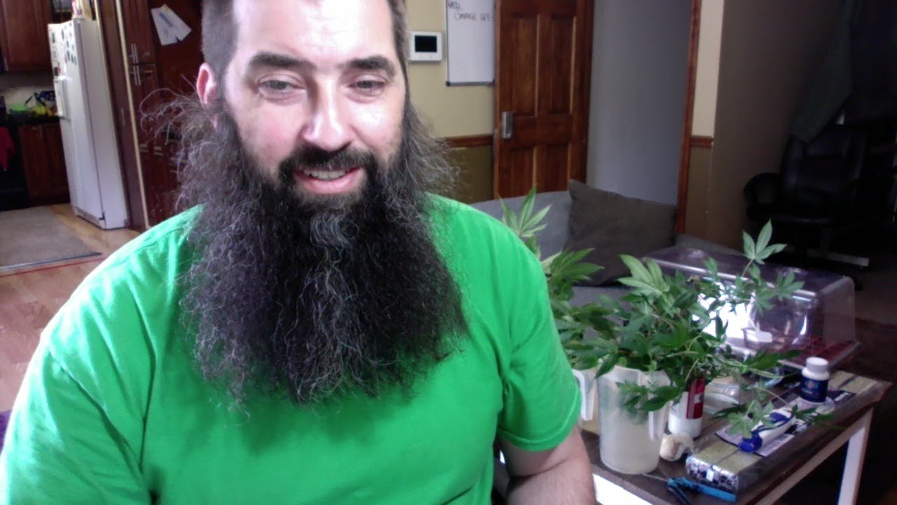 Cloning Side by Side - Elite 91 Clones and FOOP Clone Gel