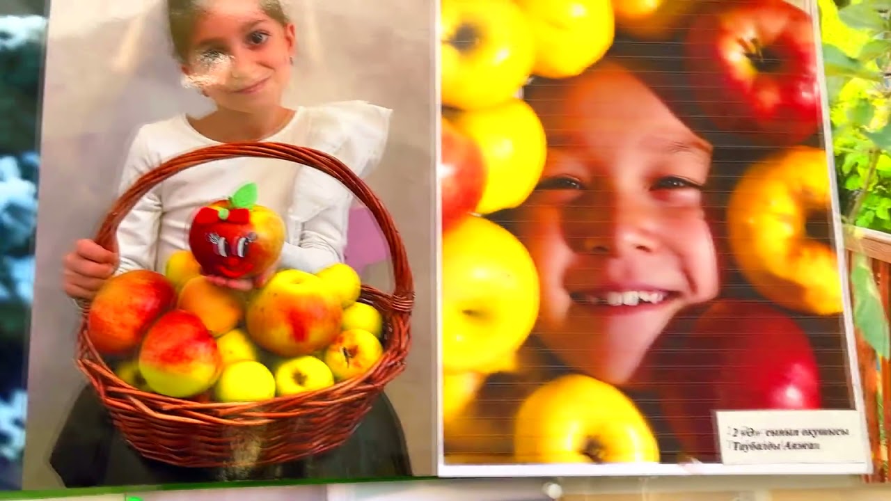 Новости гимназии 