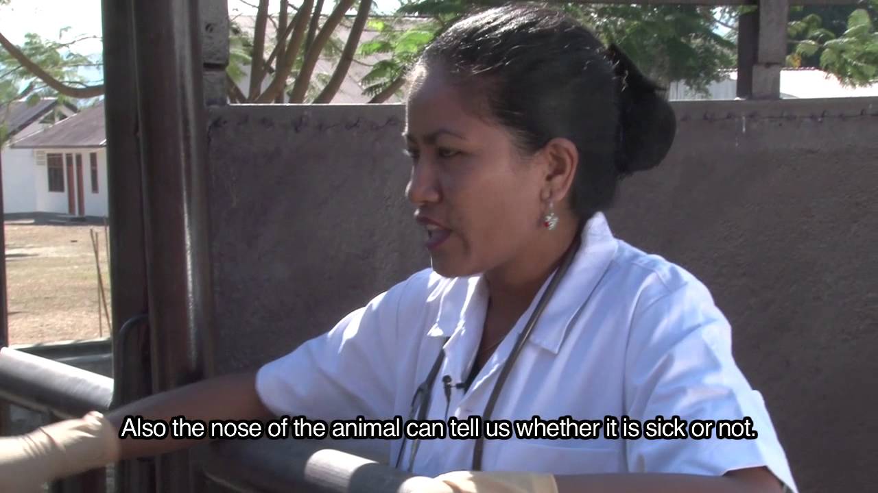Beef Value Chain introduction film