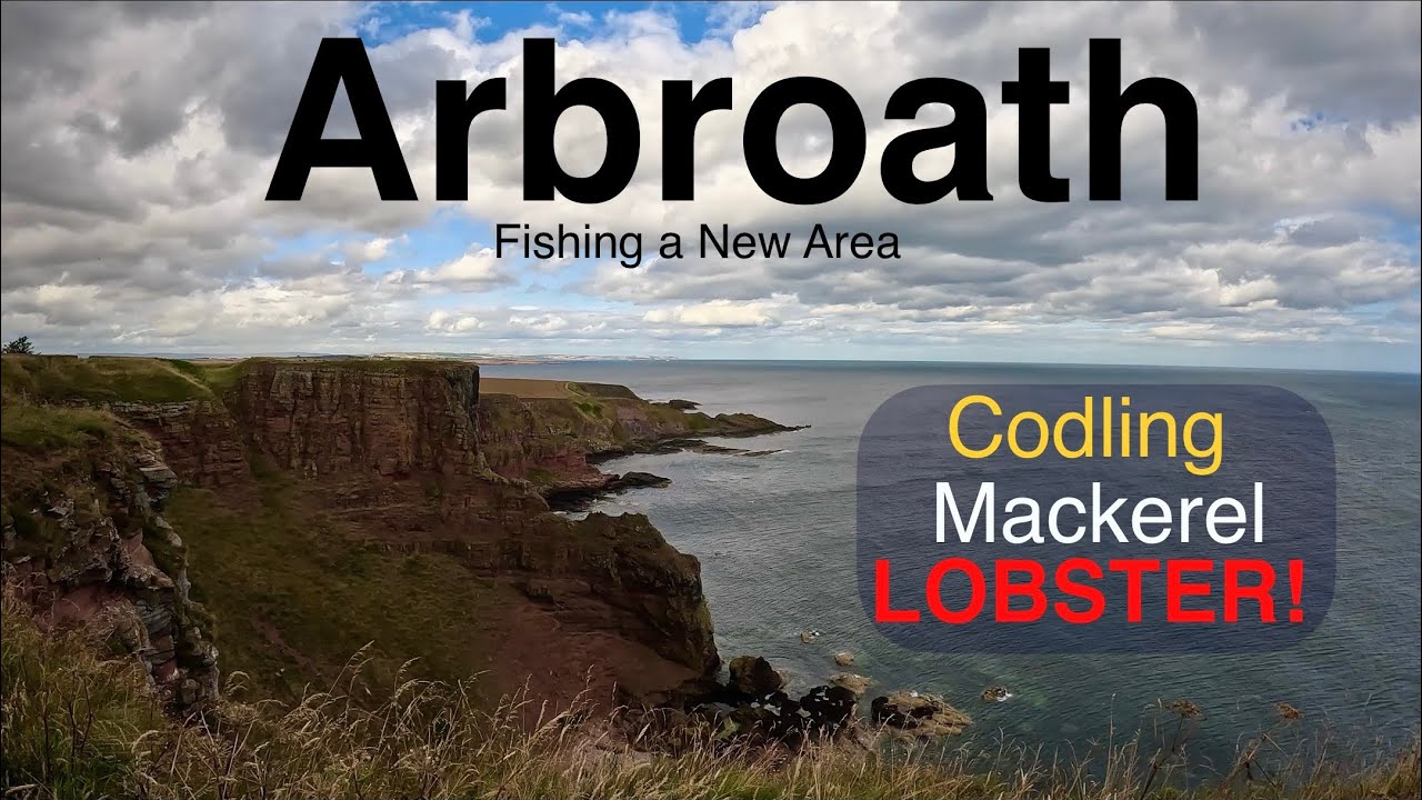 Sea Fishing Scotland - Arbroath - Fishing at the Bottom of a Cliff - Surprise Catch!
