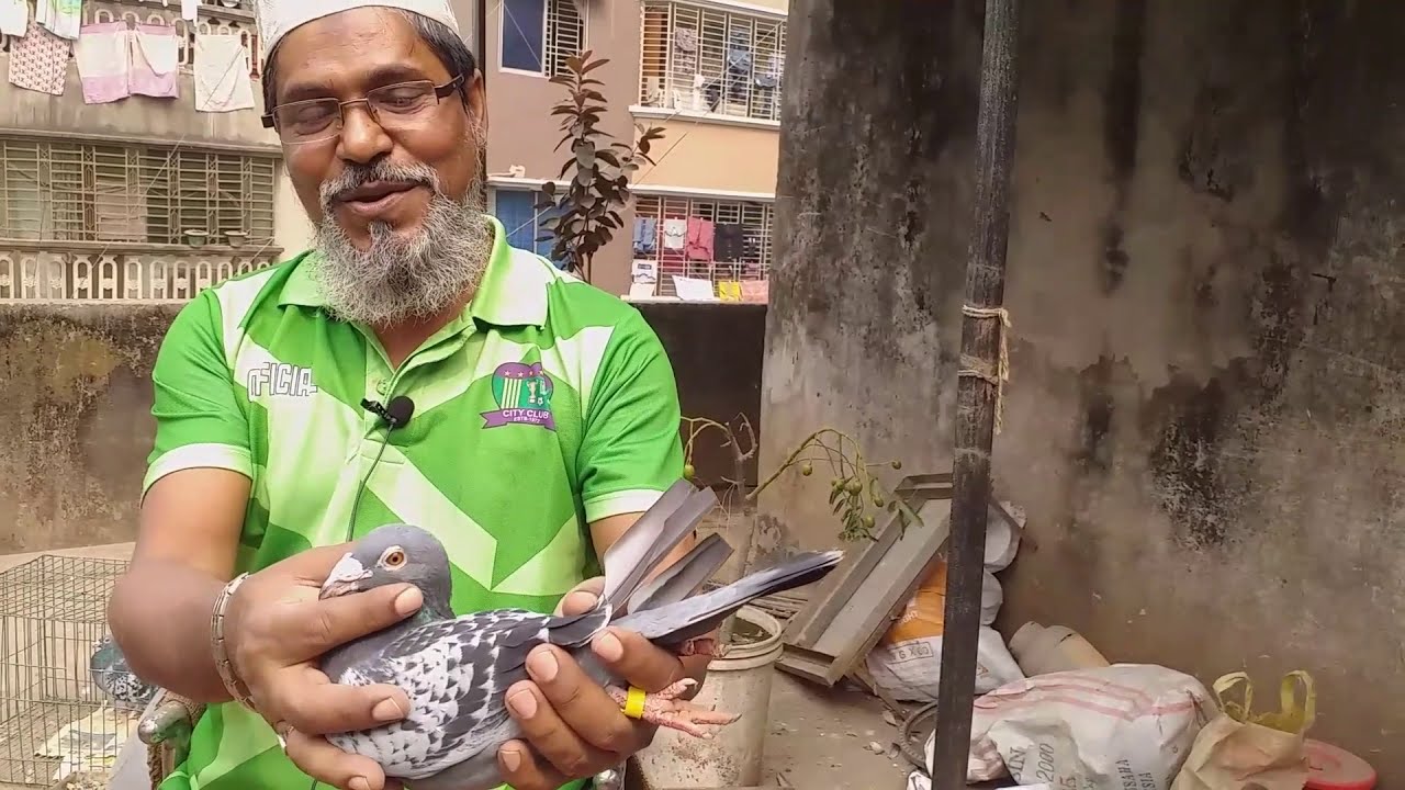 হাজী ইউনুস আলী পিজিয়ন লফ্ট