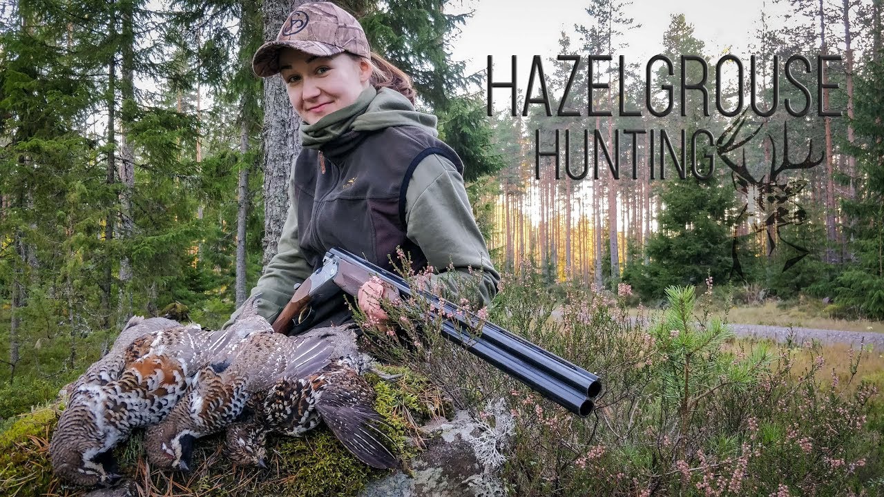 NH: Pyyn pillitystä | Hazelgrouse hunting | 2018