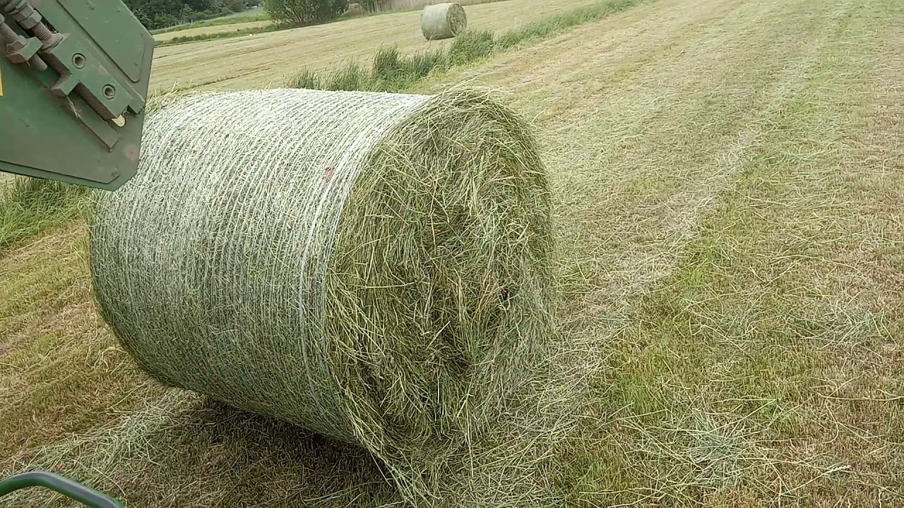 Zbiór sianokiszonki. NH TD 5.105 & Sipma 1221 Farma Plus