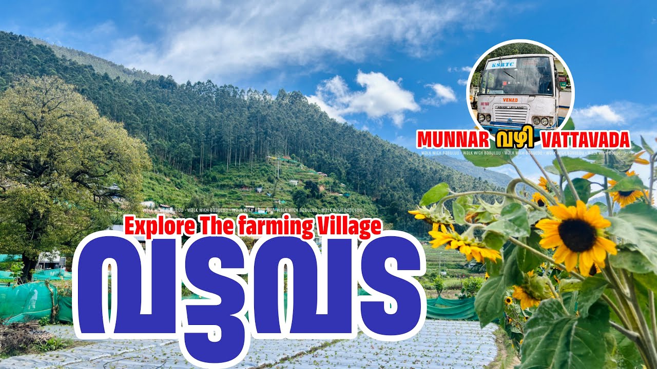 നമ്മൾ കാണേണ്ട വട്ടവടയിലെ ഗ്രാമകാഴ്ചകൾ Explore the Village life of Vattavada Munnar Koviloor Village