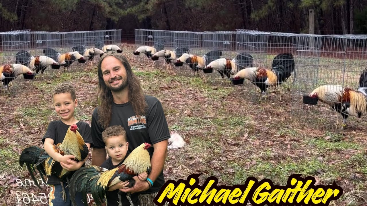 Michael Gaither Alabama USA - Beautiful View Feeding Time Free Range Shape Chicken Coop Outdoor 